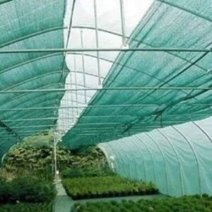Green Net
