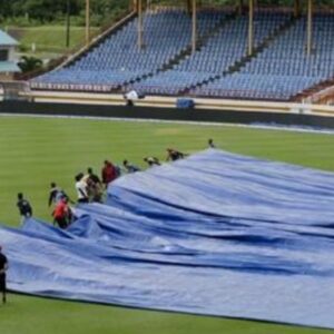 Pitch Cover