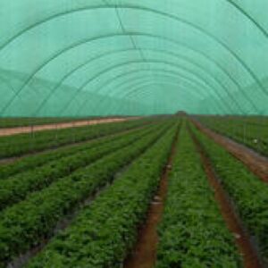 Agro Green Net