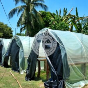 Agro Green Net